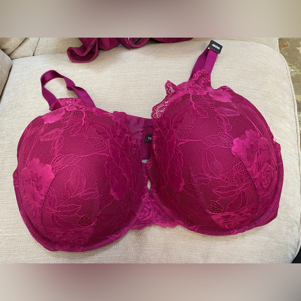 TORRID Push Up Plunge Bra